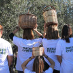 Natura Cretica - Βιολογικός αλαιώνας Κίμωνα Ουρανού