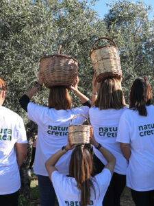 Natura Cretica - Βιολογικός αλαιώνας Κίμωνα Ουρανού